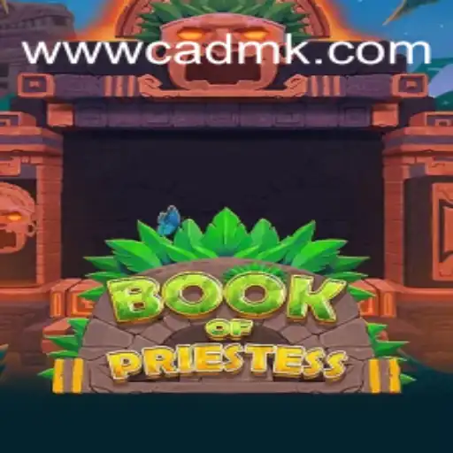 Discover the Mystical Adventure of BookOfPriestess